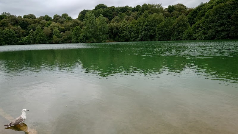 Paraje natural Lago Acebo