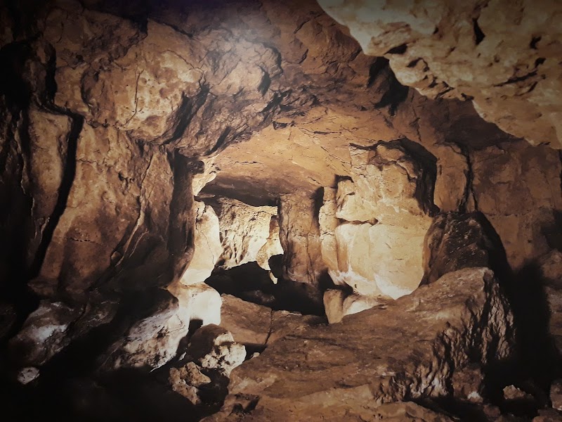 アルタミラ洞窟