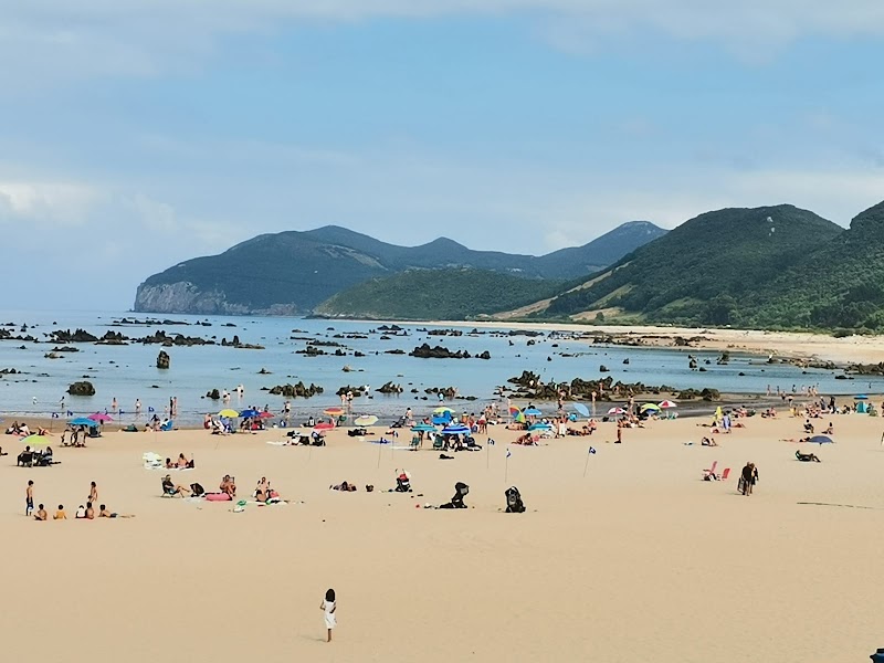 Playa de Trengandin