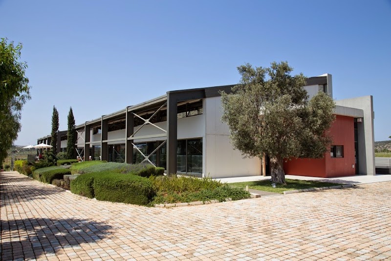 Visita a una bodega local