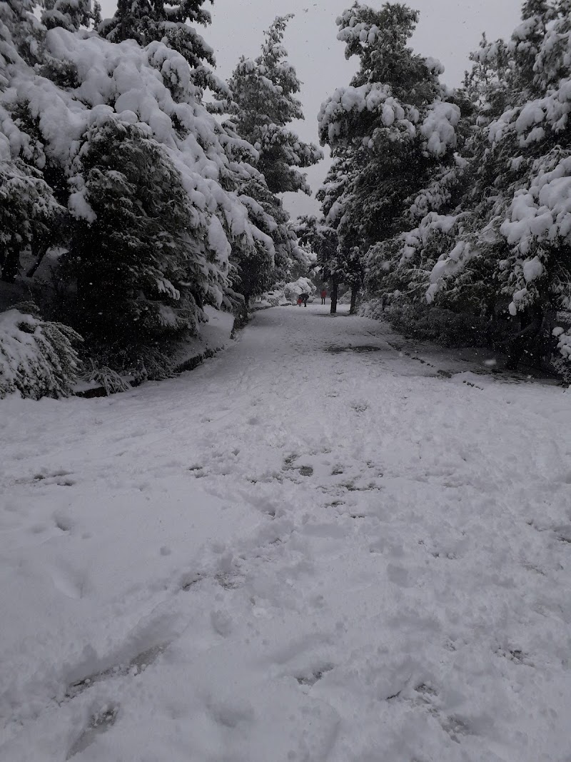 Πεζοπορία στον Λυκαβηττό