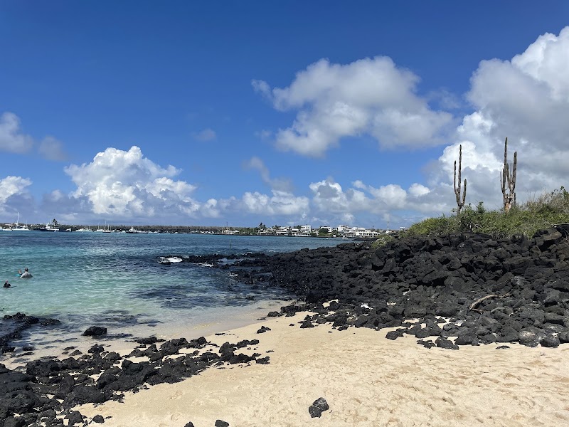 Playa de la Estacion