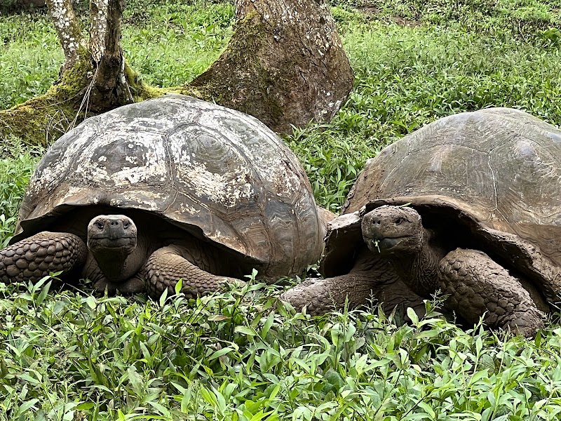 Parque Nacional Galapagos