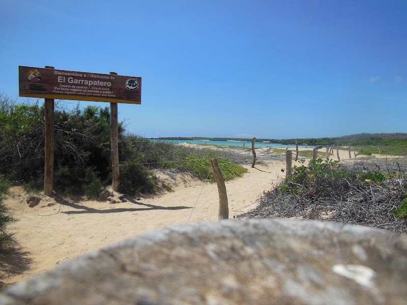 Playa El Garrapatero