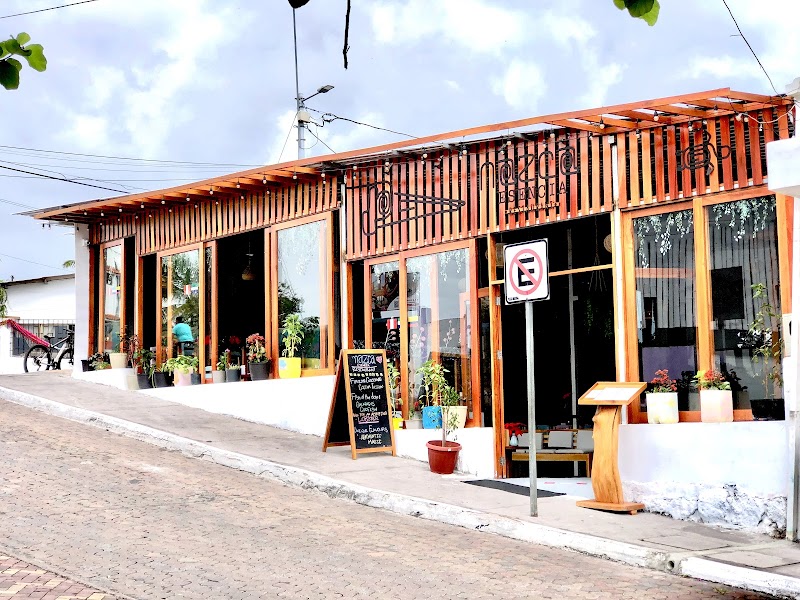 Almuerzo en Puerto Ayora