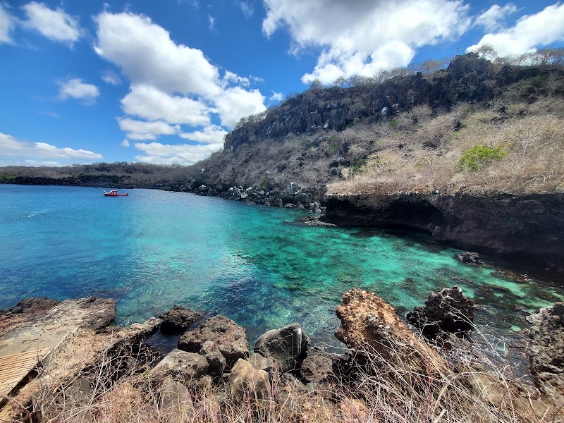 Mirador Cerro Tijeretas