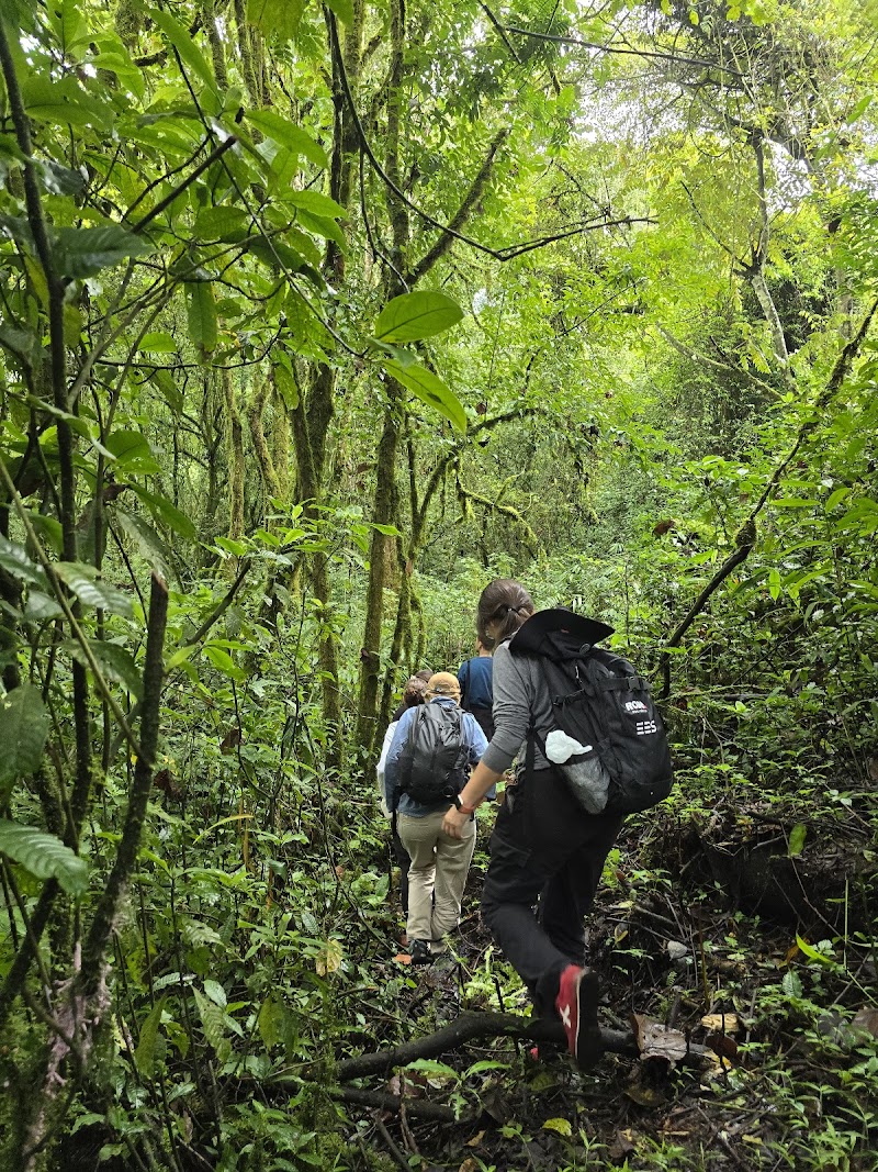 Visita a Ecuatrek turismo para planificar futuras rutas