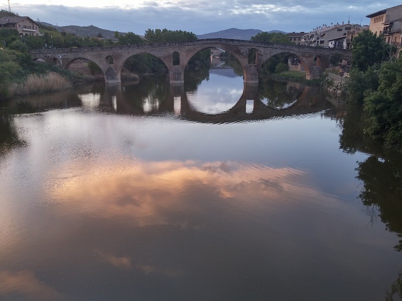 Visita a Puente la Reina