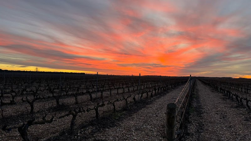Bodegas Jose Cabestrero