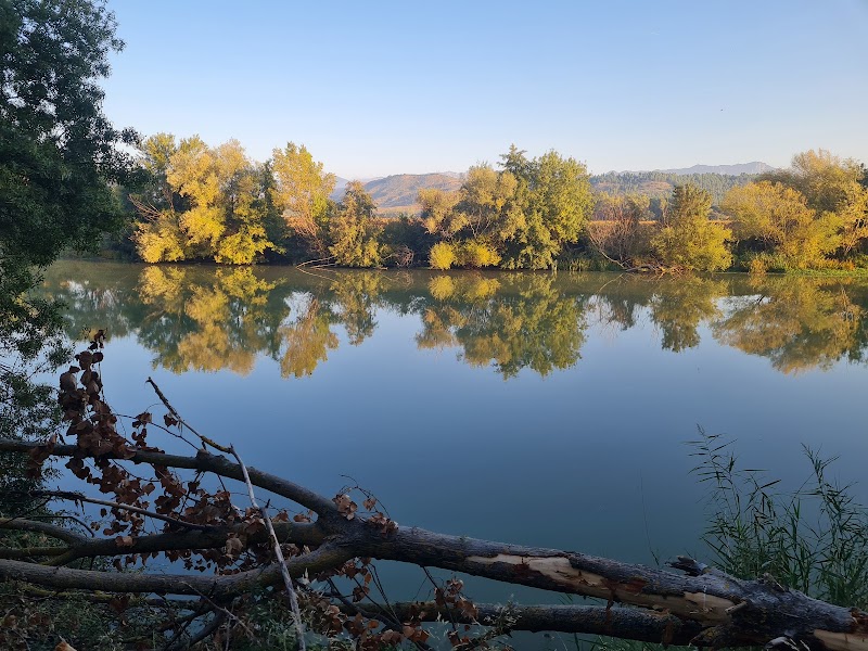 Ruta por el Paseo del Ebro
