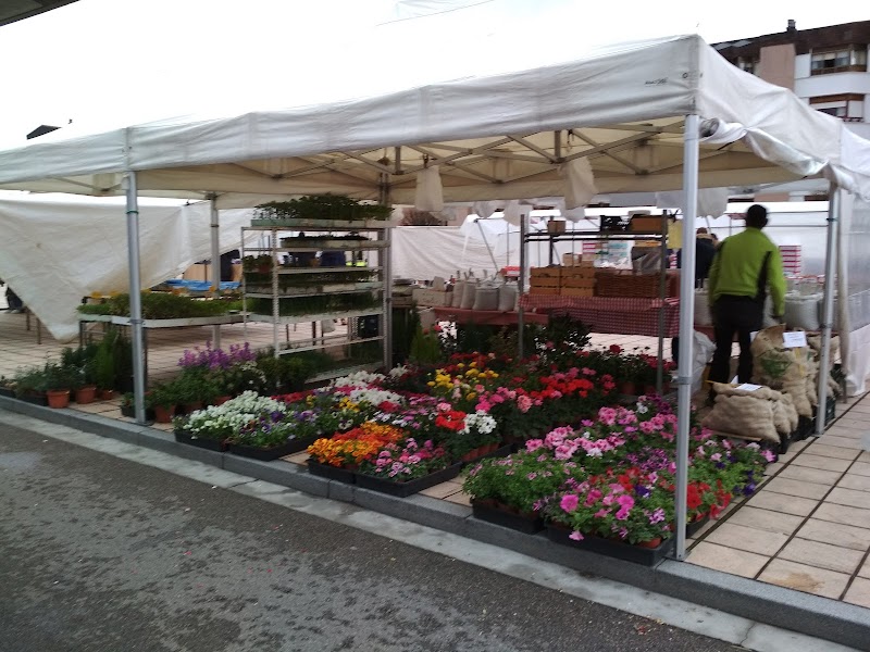 Mercadillo de Miranda de Ebro