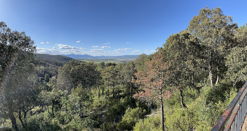 Fiestas de San Juan del Monte