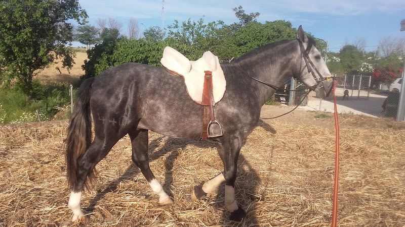 Plaza de Antonio Pelaez Gomez