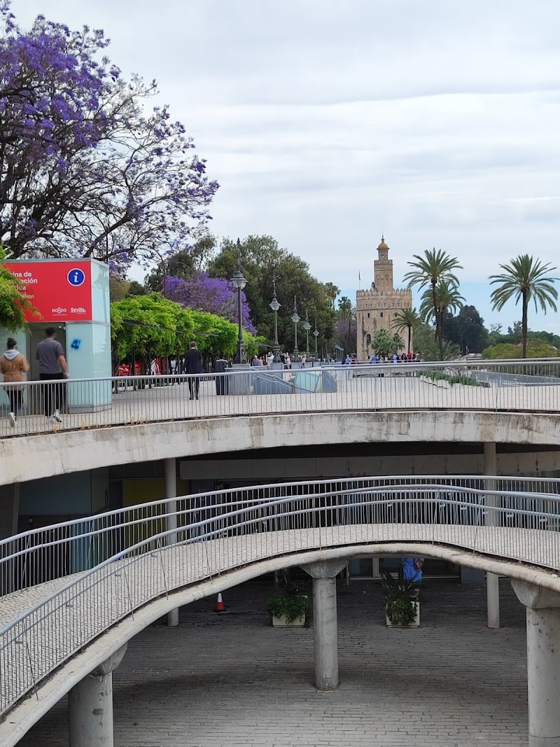 Visitar Sevilla (Oficina de Turismo)