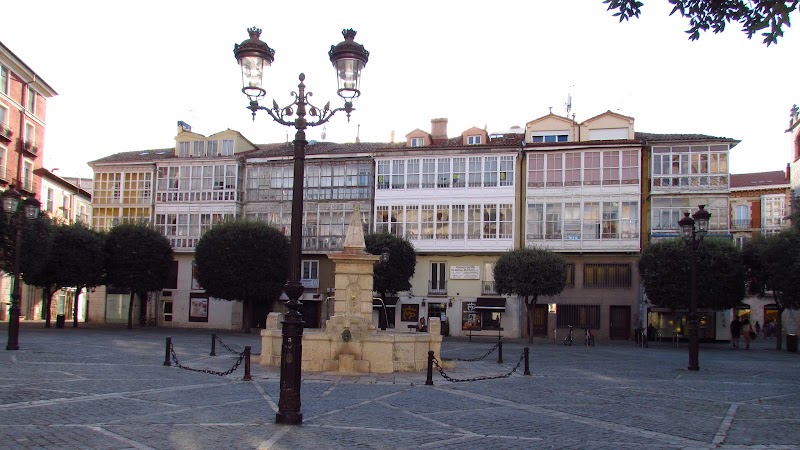 Escuela de Yoga La Casa del Arbol
