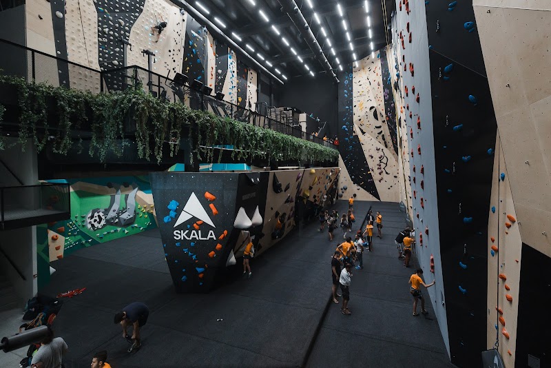 SKALA ROCO | Rocodromo en Burgos