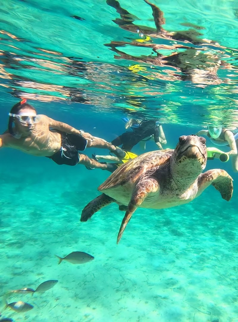 Sea Adventure & Activities