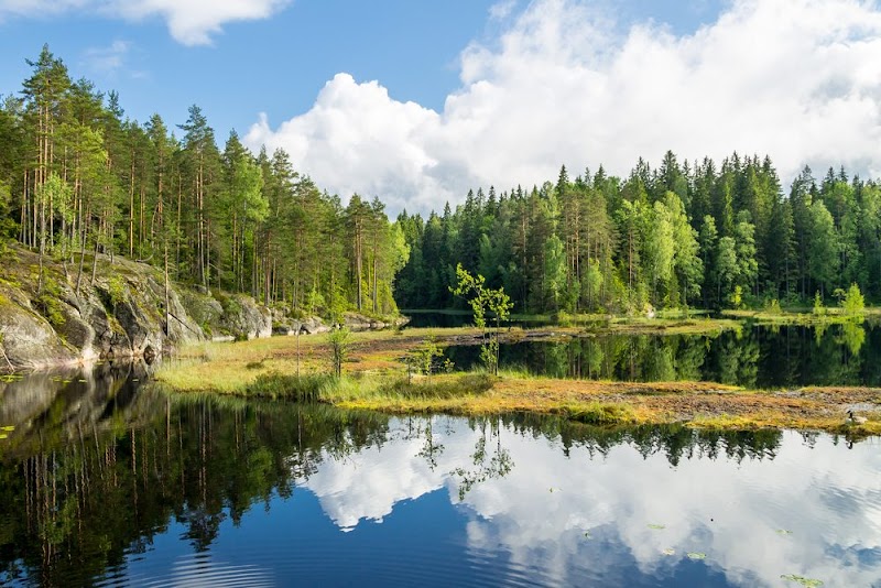Almuerzo en Nuuksio