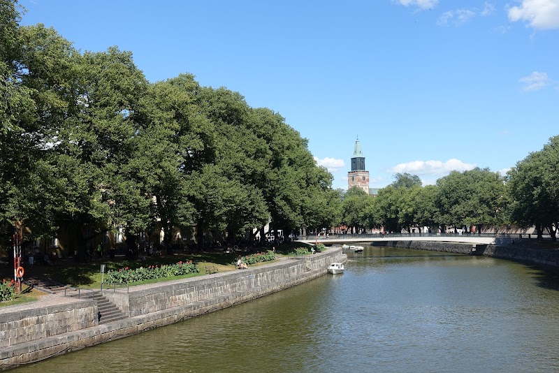 Paseo por el rio Aura