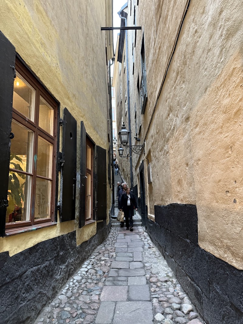 Paseo por Gamla Stan