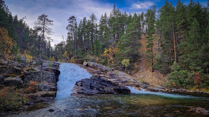Fahrt zum Lemmenjoki-Nationalpark