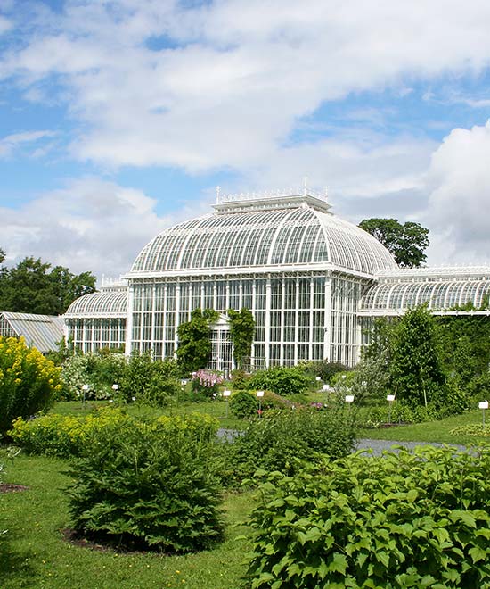 Spaziergang im Kaisaniemi Botanischen Garten