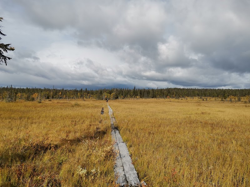 Fahrt zum Urho-Kekkonen-Nationalpark