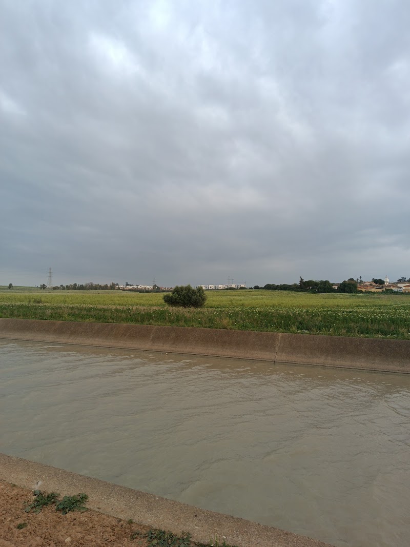 Senderos canal del bajo Guadalquivir