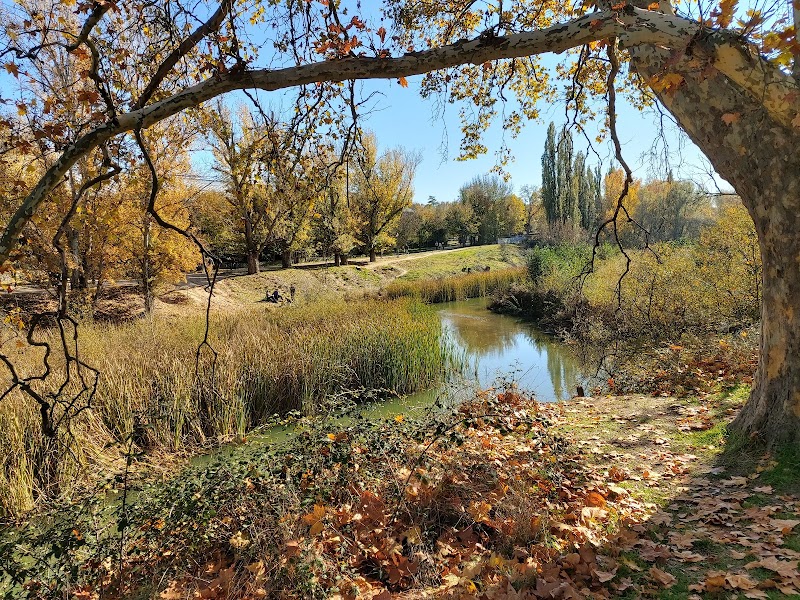 Senderismo por El Pardo