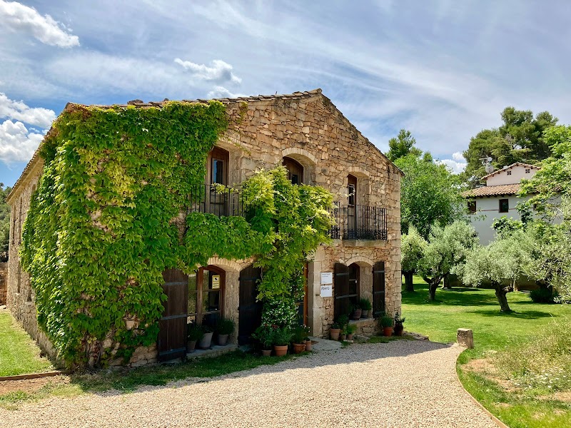 Maridaje de Ostras y Vinos en Venta d'Aubert