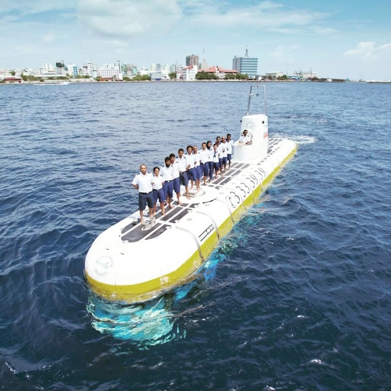 Whale Submarine