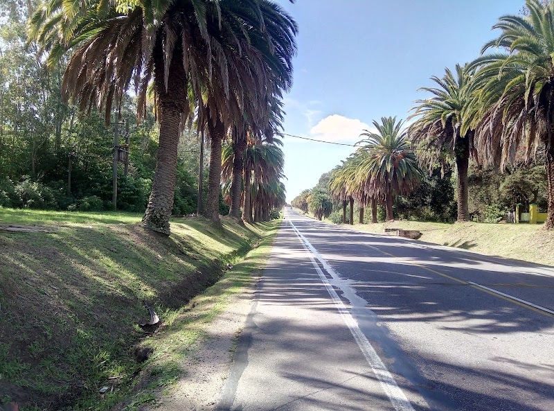 Ruta de las Palmeras