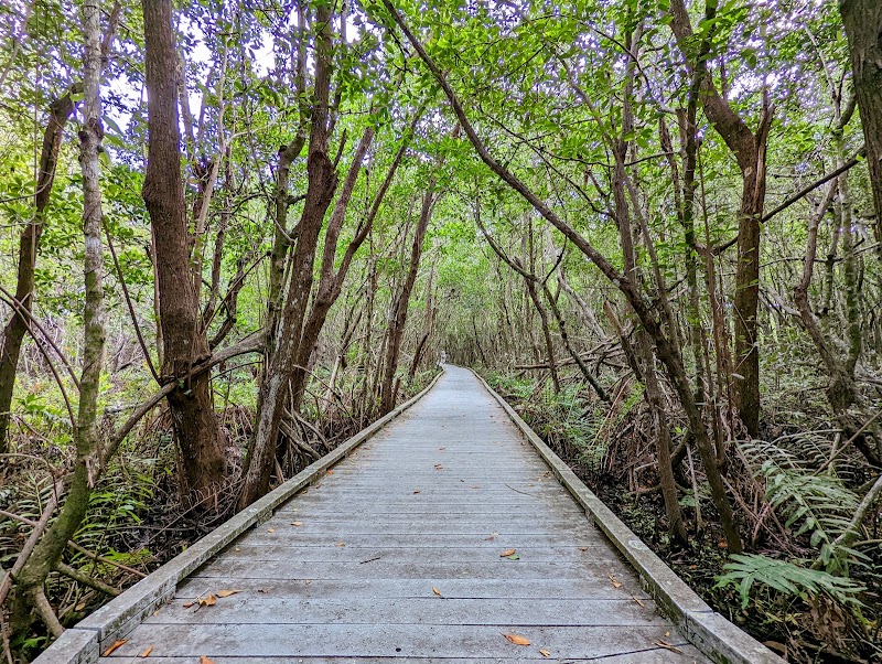 cape coral - Marzo