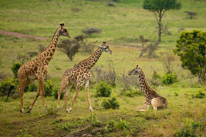 Parco nazionale di Arusha