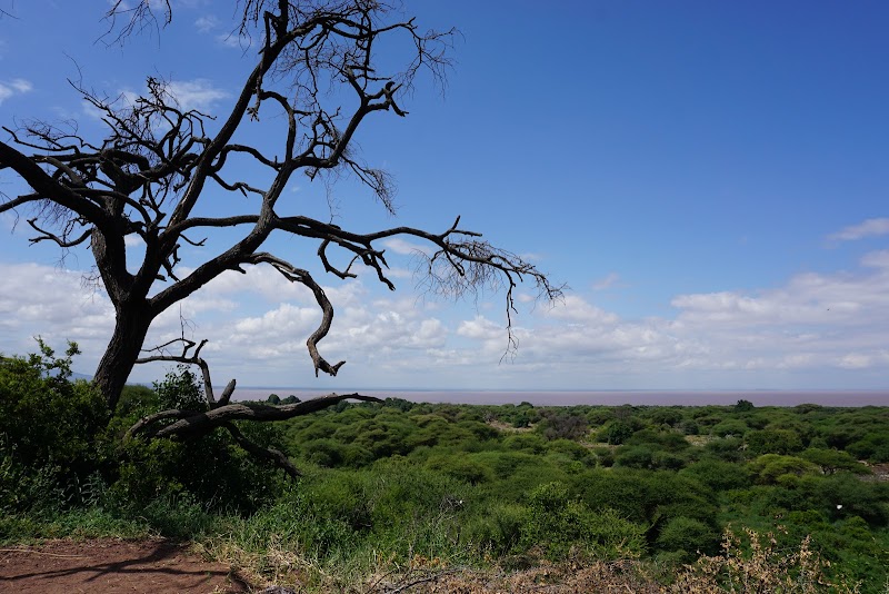 Pranzo in area picnic del Manyara