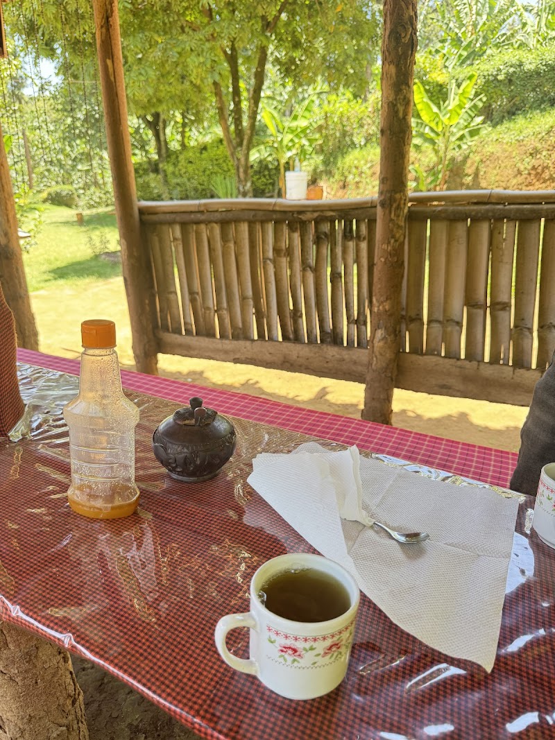Visita a una piantagione di caffè