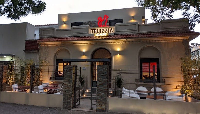 Cena en Telizzia Cat Cafe