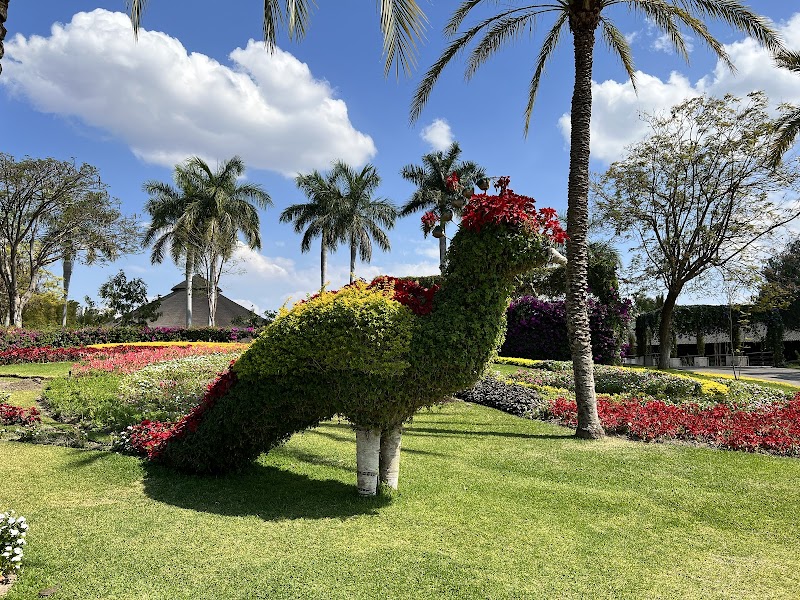 Jardines de Mexico