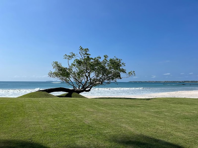 Creativa Paisaje Mexico