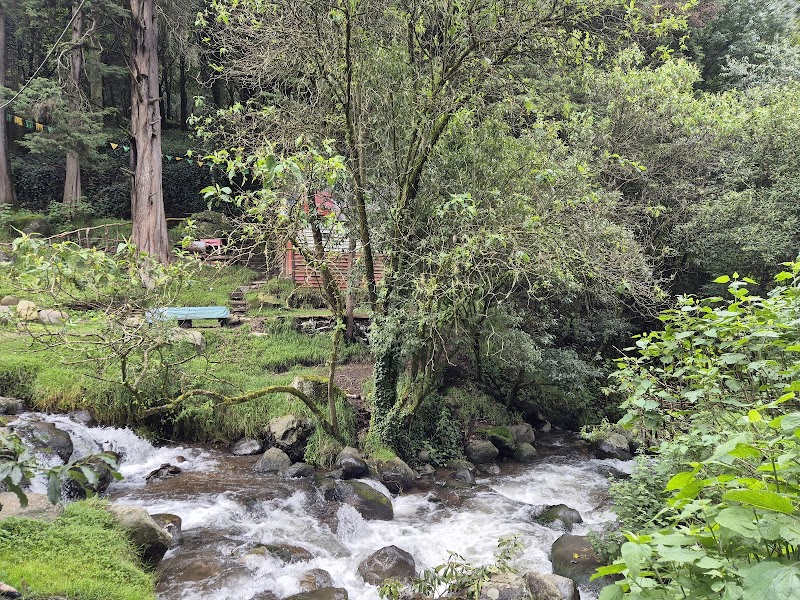 Parque Nacional Los Dinamos