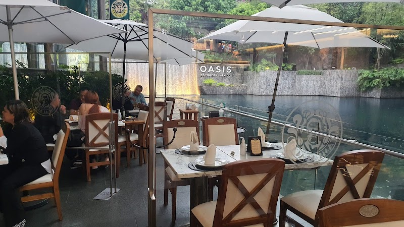 Cambalache Plaza Oasis