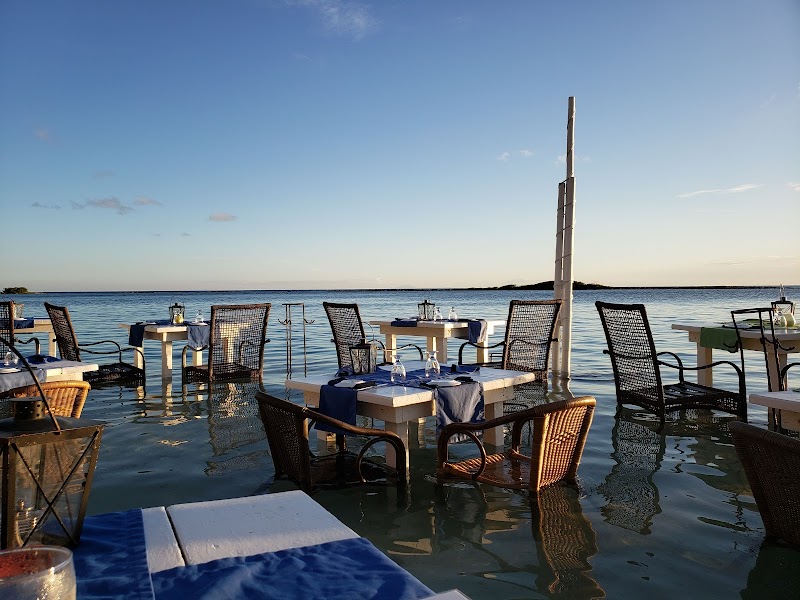 Cena en The Flying Fishbone