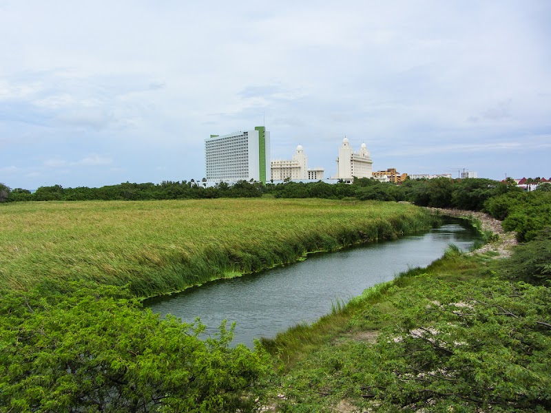 Paseo por Bubali Bird Sanctuary