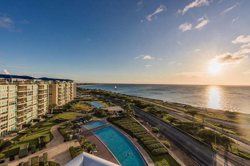 Blue Aruba Rentals