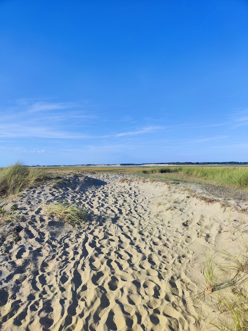 Promenade matinale à la Baie d'Authie