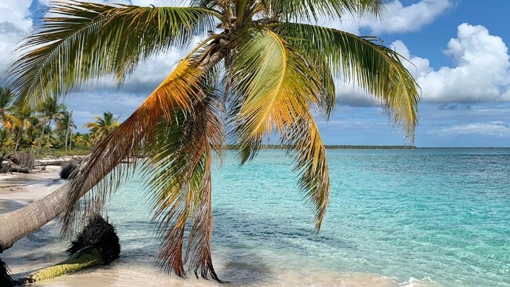 PUNTA CANA-SAONA ISLAND excursions- CAPTAIN COCO ECOTOURS