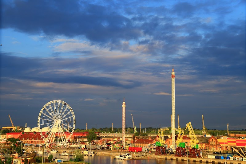 Dzwigozaury