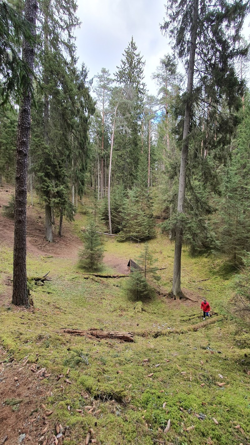 Strėva green trail