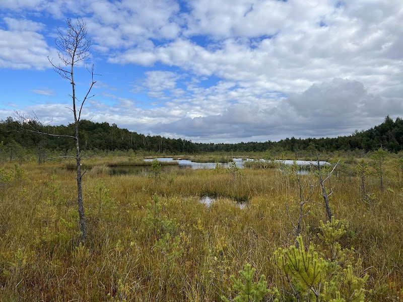Varnikai Nature Trail
