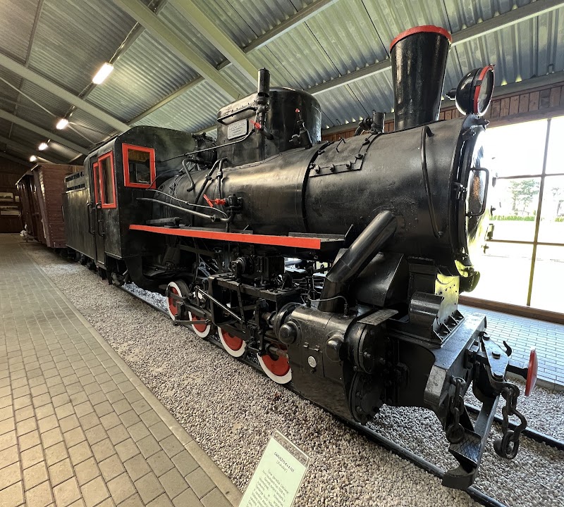 Visita al Museo de Anyksciai